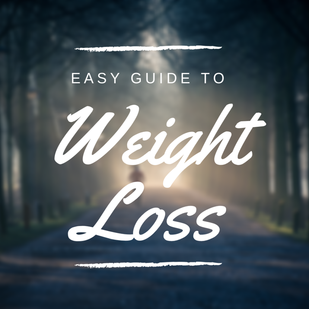 easy guide to weight loss